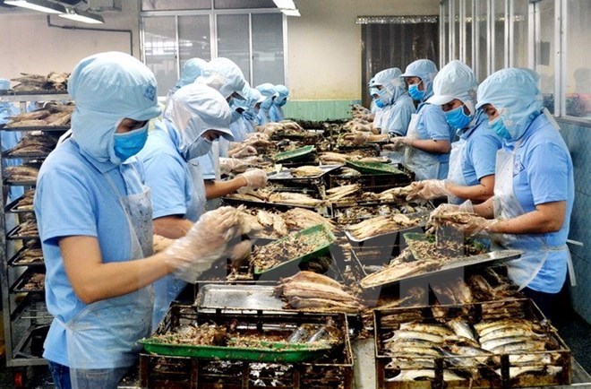 附圖：2018年前兩月越南水產品出口額同比增長近30%。（圖片來源：越通社）